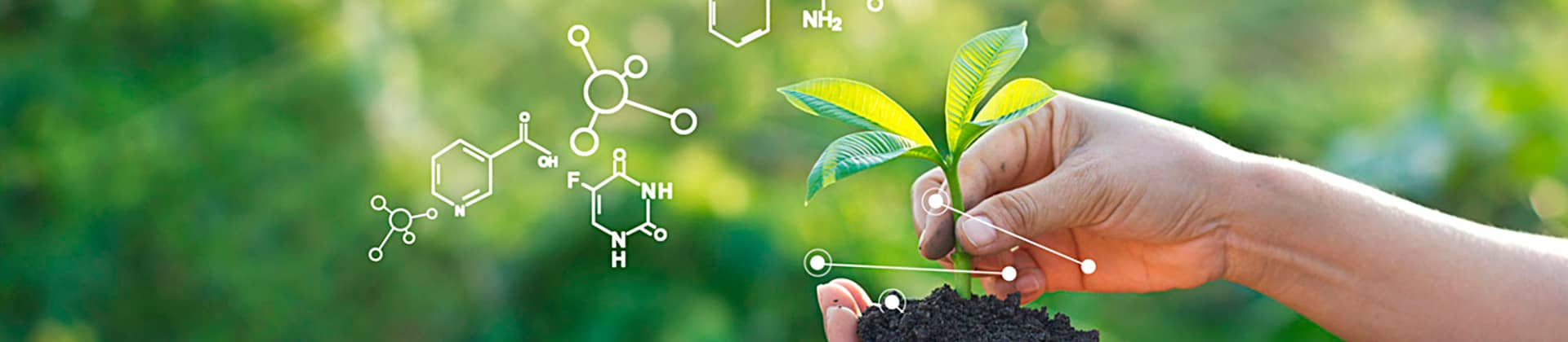 sustentabilidade